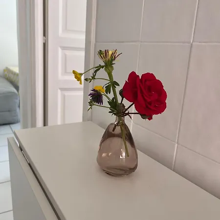 Avec Jardin - Le Citronnier * Menton