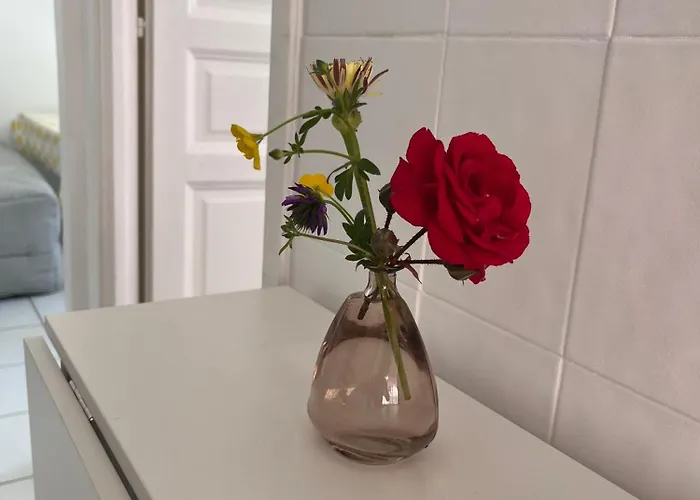 Avec Jardin - Le Citronnier * Mentona